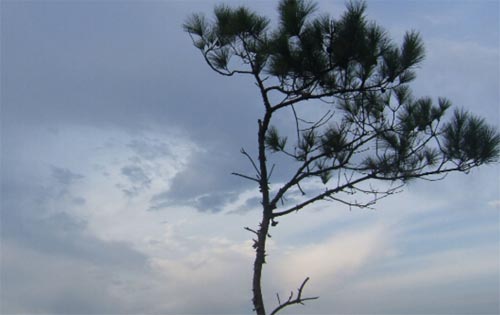 ](mi)Ŀ(bio)W(xu)һǻďU